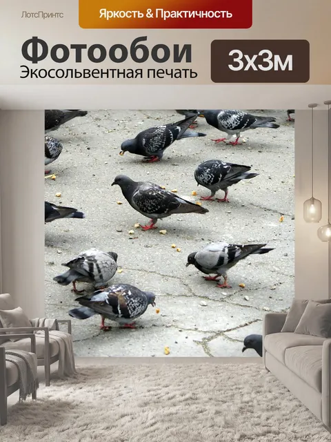 Фотообои Птицы