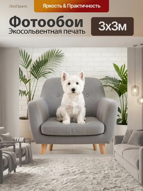 Фотообои Белый терьер в кресле