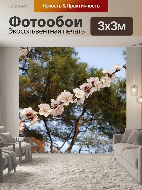 Фотообои Вишня в цвету