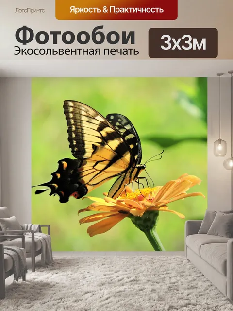 Фотообои Парусники бабочки