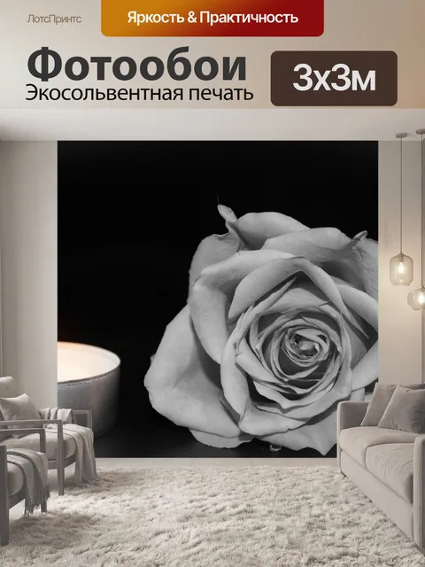 Фотообои Роза