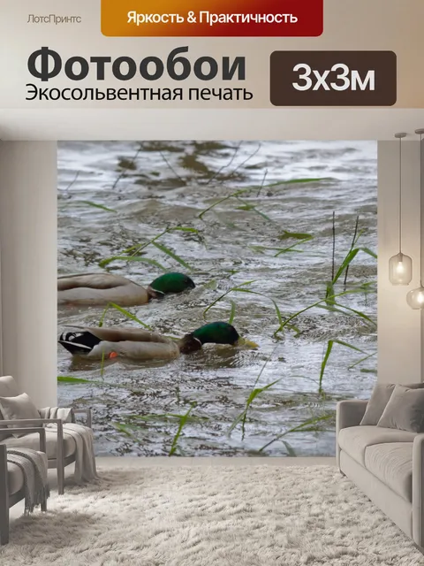 Фотообои Утки на озере