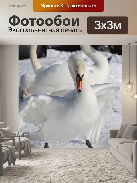 Фотообои Лебеди
