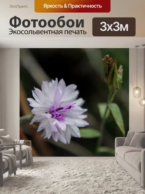 Фотообои Фон
