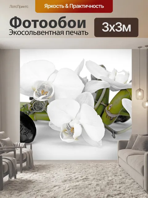 Фотообои Орхидея