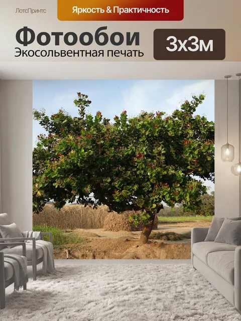 Фотообои Деревья