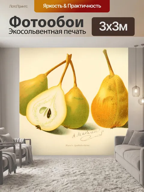 Фотообои Винтажные груши фруктовые иллюстрации