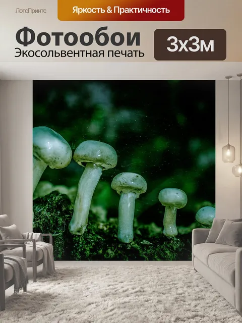 Фотообои Гриб