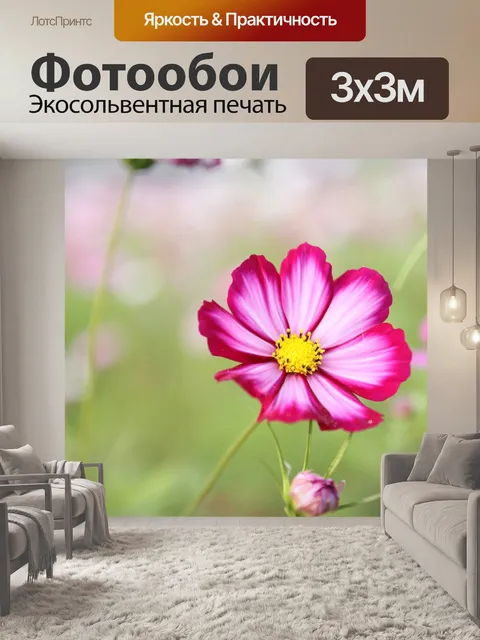 Фотообои Цветок космоса