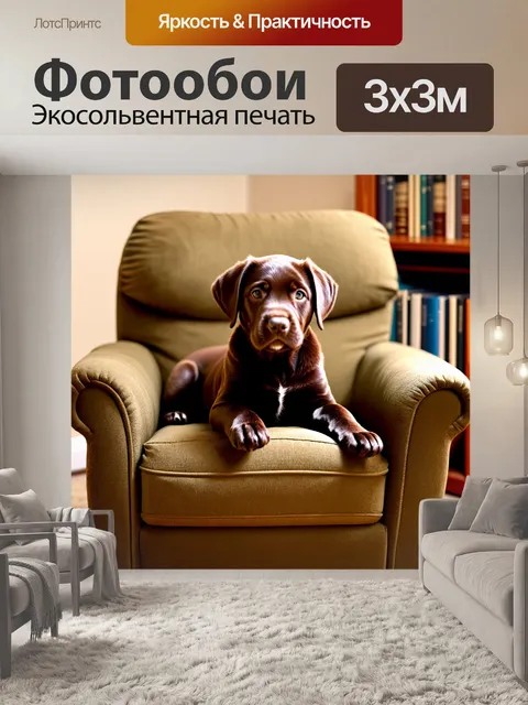 Фотообои щенок шоколадного лабрадора уютно устроился на большом кресле с книжками вокруг
