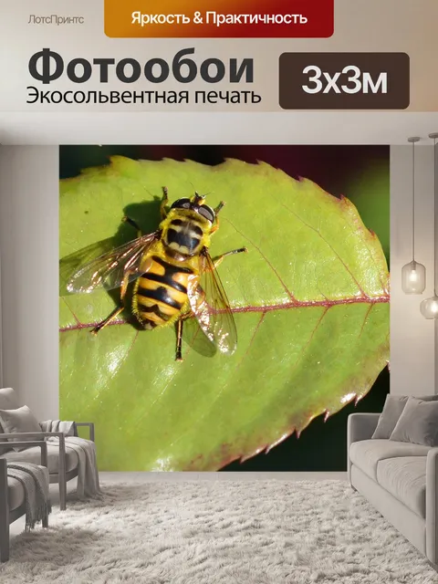 Фотообои Природа