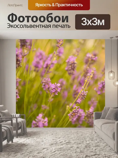 Фотообои Лаванда цветок