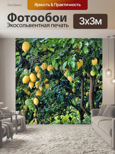 Фотообои Лимон