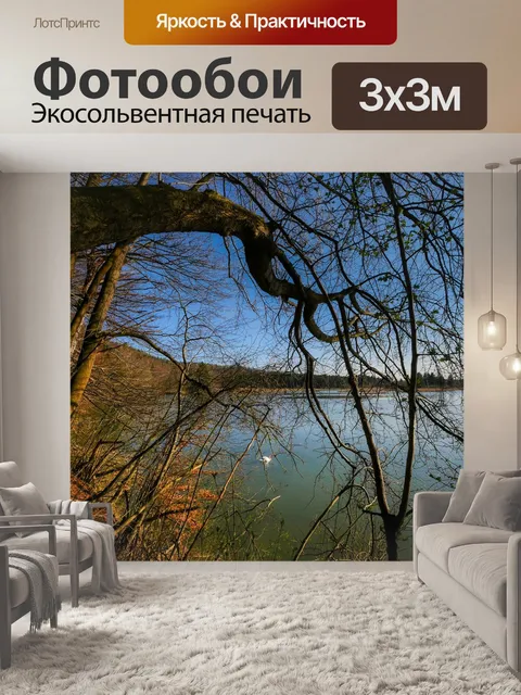 Фотообои Лес