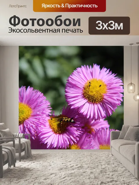 Фотообои Розовые цветы