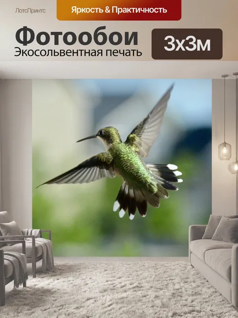 Фотообои Колибри