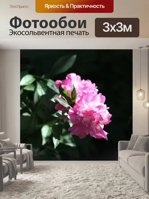 Фотообои Пионы