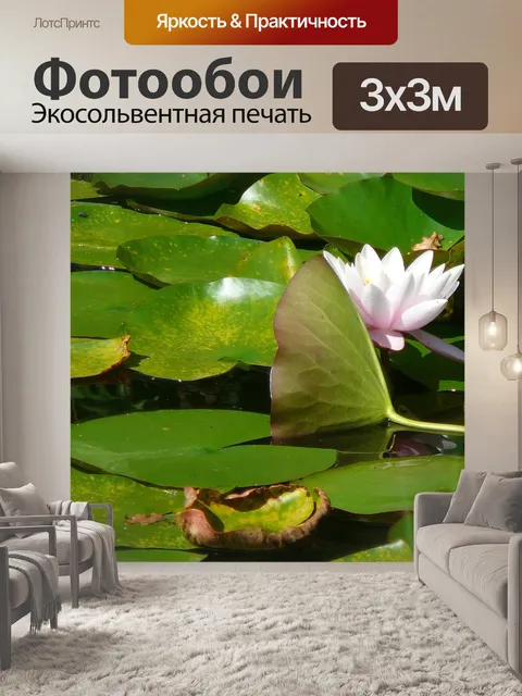 Фотообои Цветы