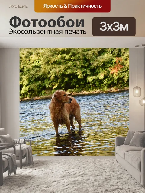Фотообои Река