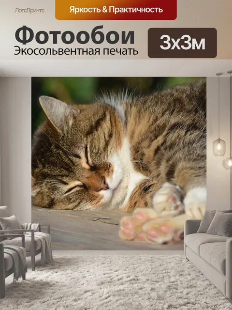 Фотообои Кошка