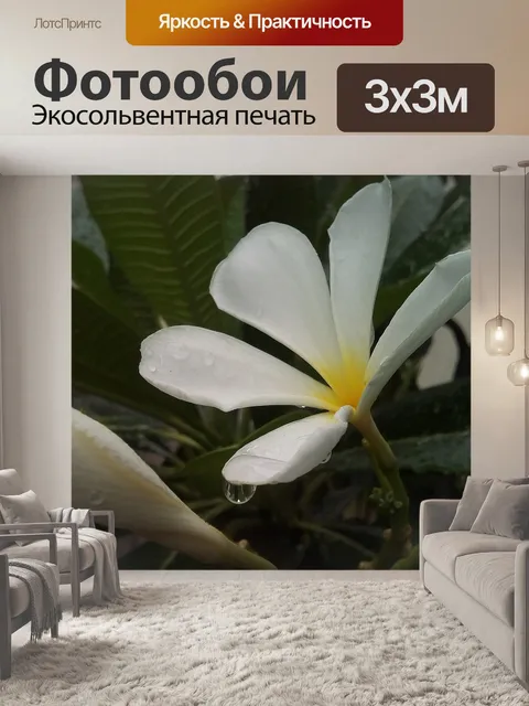 Фотообои Цветок