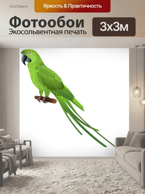 Фотообои Попугай