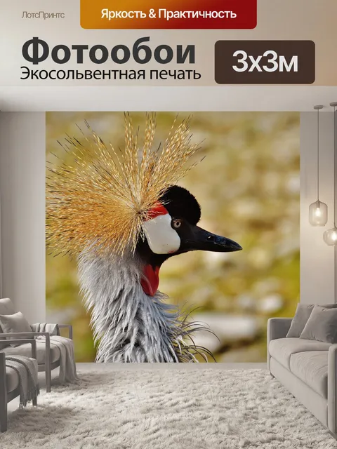 Фотообои Птица