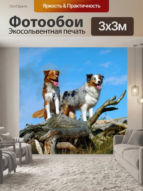 Фотообои Собаки