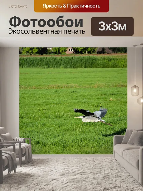 Фотообои Цапля