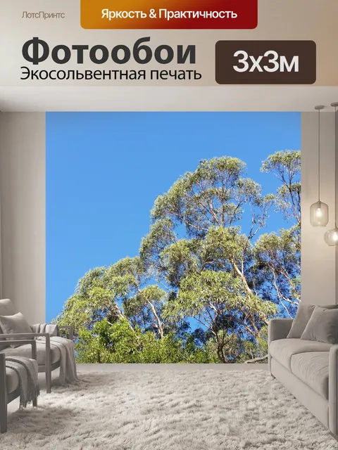 Фотообои кроны деревьев