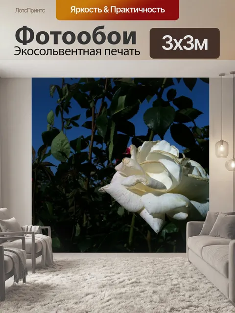 Фотообои Белый