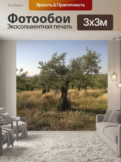 Фотообои Оливковый
