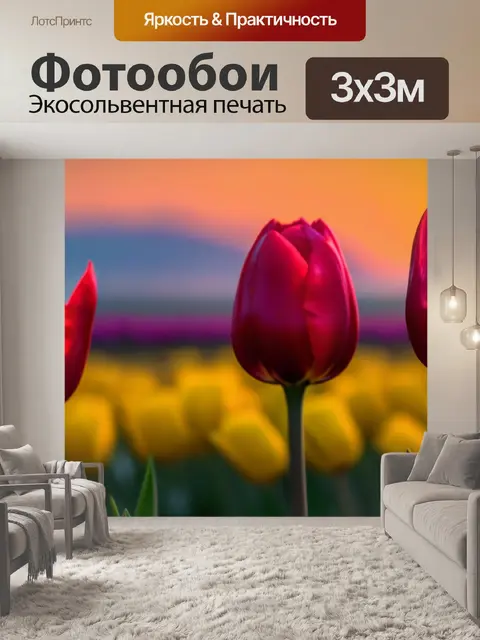Фотообои тюльпаны на фоне заката