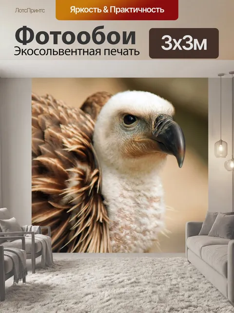 Фотообои Гриф