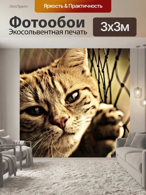 Фотообои Кот