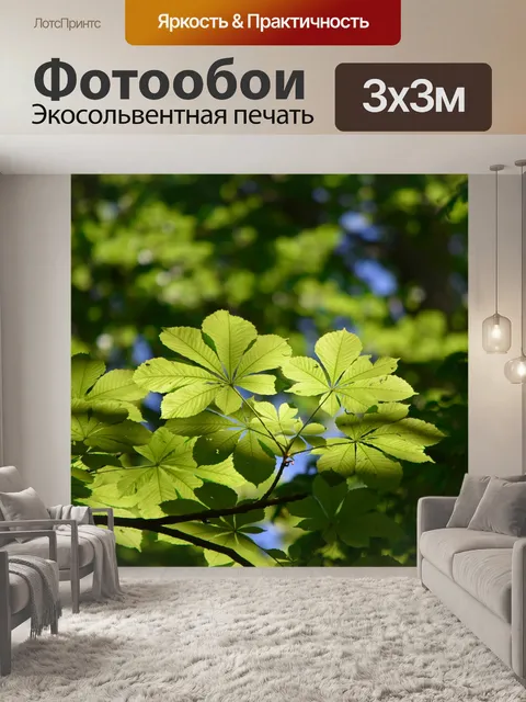 Фотообои Листья