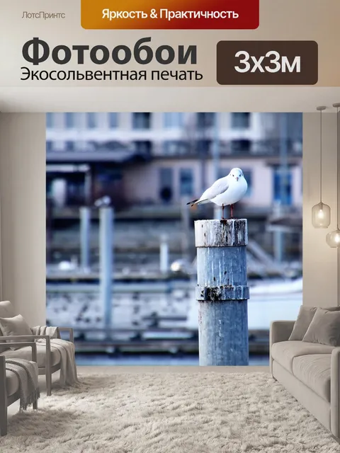 Фотообои Чайка