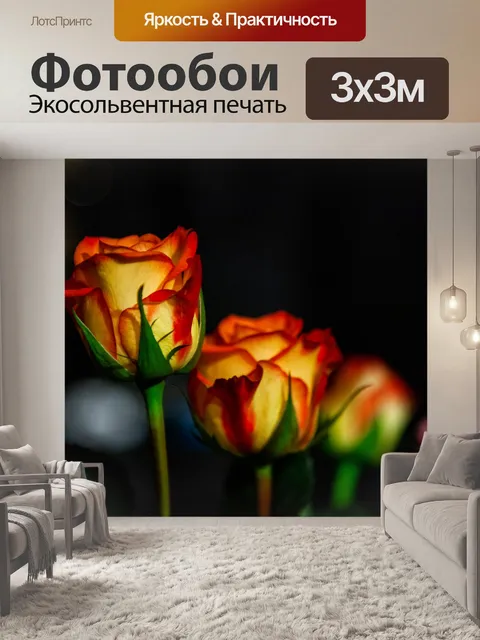 Фотообои Роза