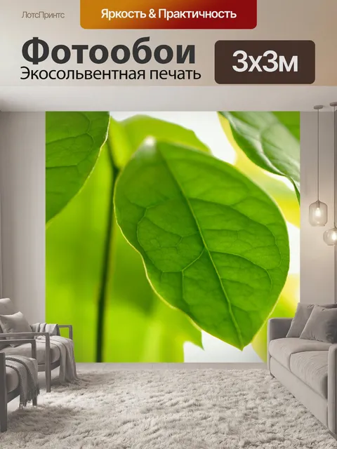 Фотообои Авокадо листья