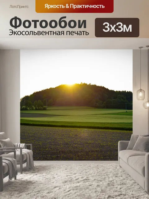 Фотообои Лес