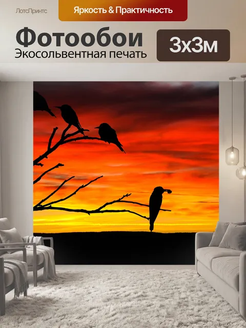 Фотообои Птицы на закате