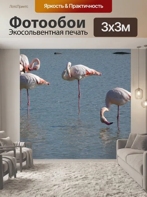 Фотообои Фламинго