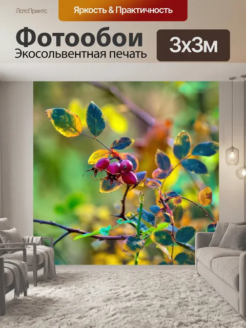 Фотообои Ветки