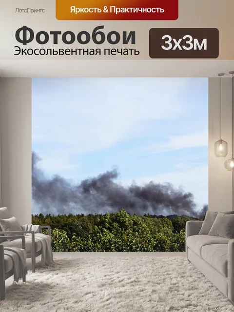 Фотообои Лес