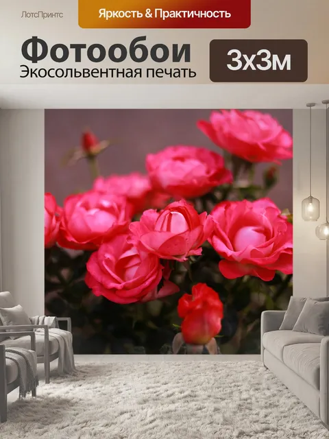 Фотообои Розы