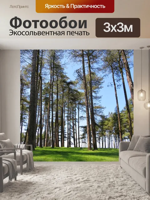 Фотообои Деревья