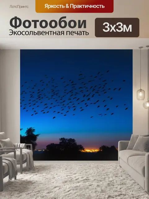 Фотообои ночные небеса с летящими воробьями