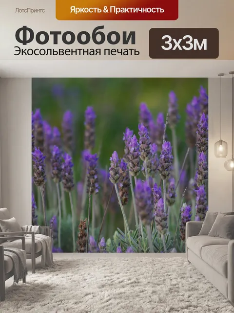 Фотообои Лаванда