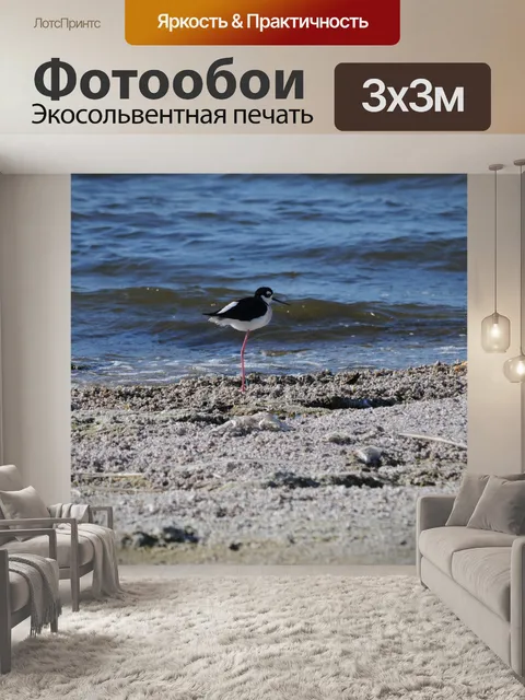 Фотообои Черный шеей Стилт