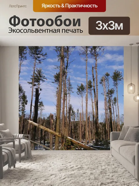 Фотообои Лес